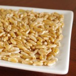 KAMUT Wheat